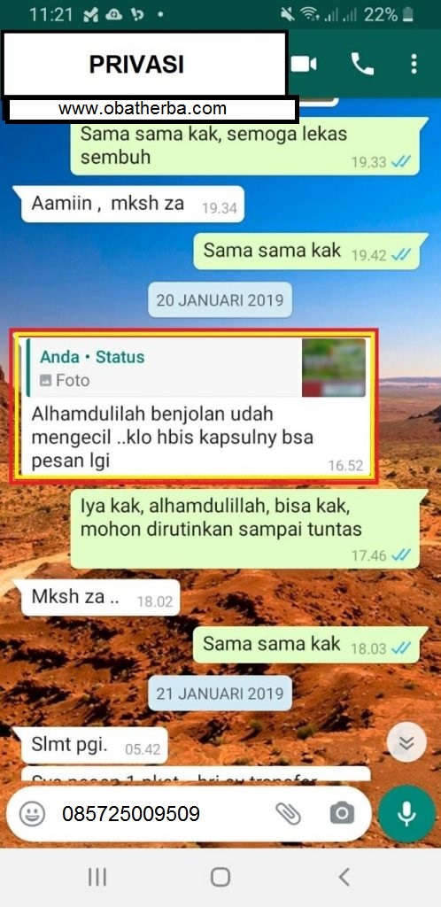 obat alami benjolan tumor payudara