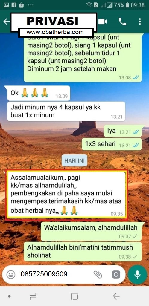 obat alami herbal kanker payudara